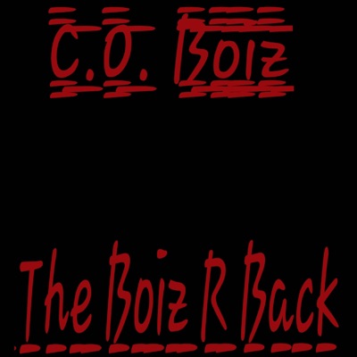 The Boiz R Back (C.O. Boiz) (feat. Rick J & HoMiCyd) - Single