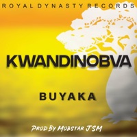 Kwandinobva - Single - Buyaka Music Official