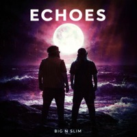 Echoes (Feel Again) - Single - Big N Slim