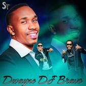 Dwayne DJ Bravo artwork