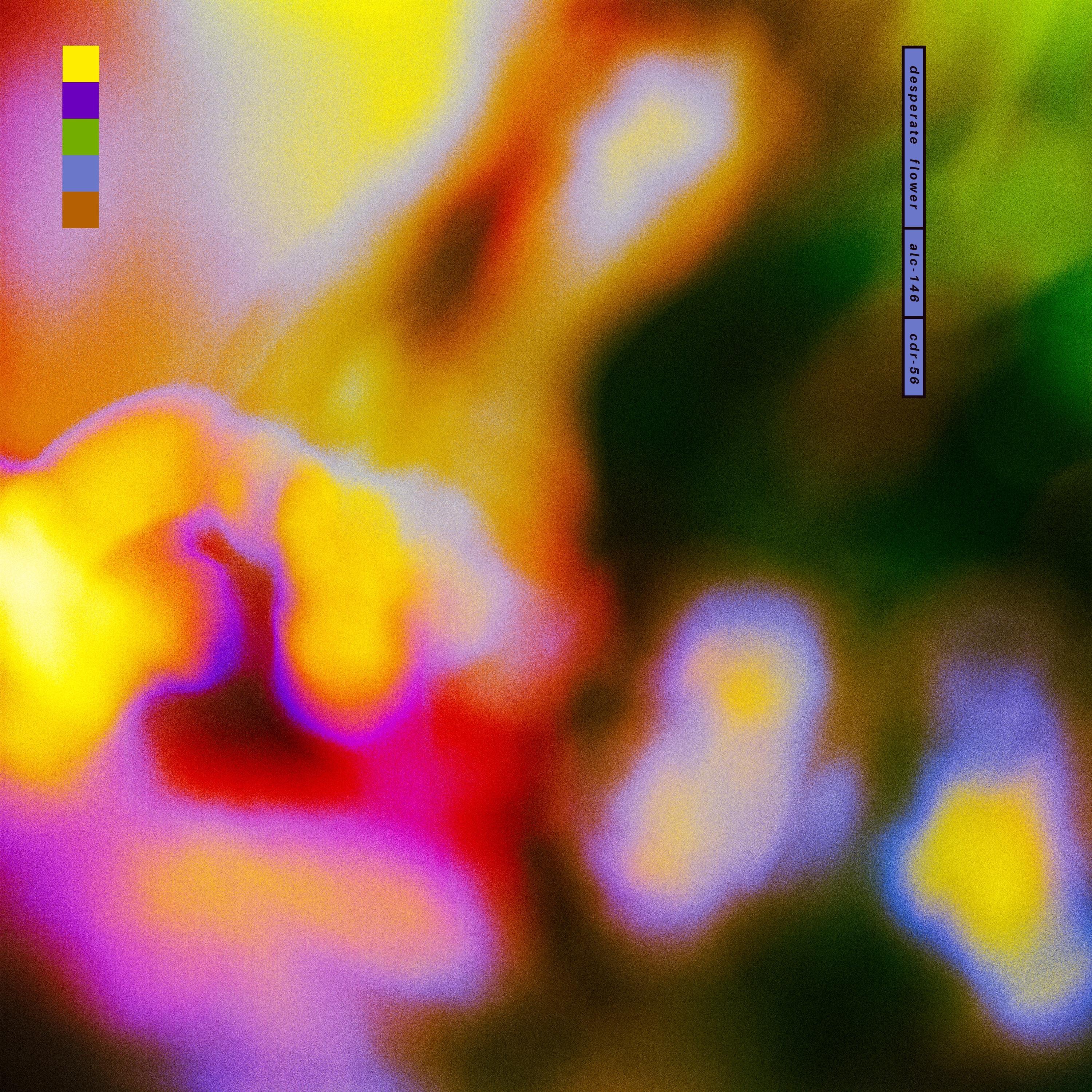 desperate flower (single) - Single