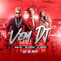Vem Dj (feat. mc donzela) - Single - Ian Padilha & Gugu Ofc