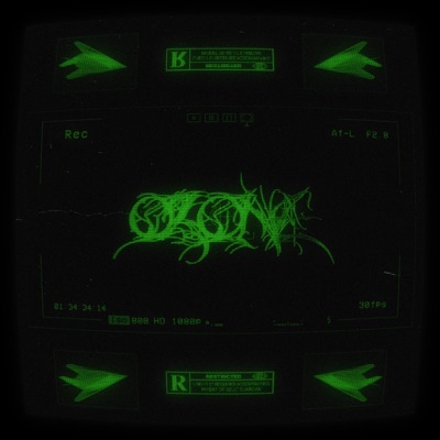 LAST FLIGHT (feat. prod.dizzy) - Single