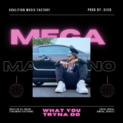 What You Tryna Do? - Single