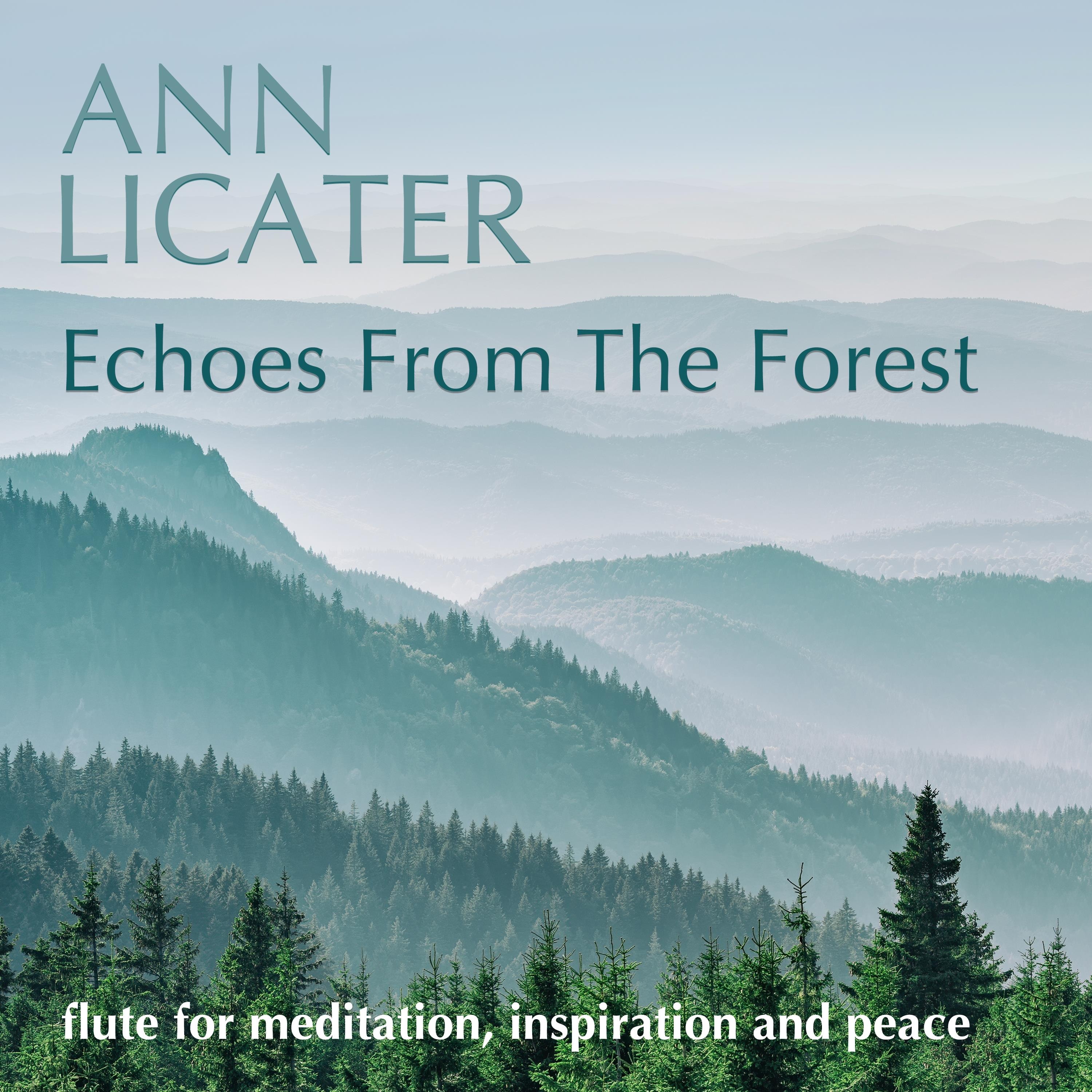 Echoes from the Forest