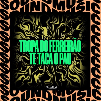 TROPA DO FERREIRÃO TE TACA O PAU - Single