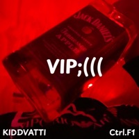 VIP (feat. Ctrl F1) - Single - Kiddvatti