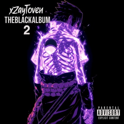 TheBlackAlbum2