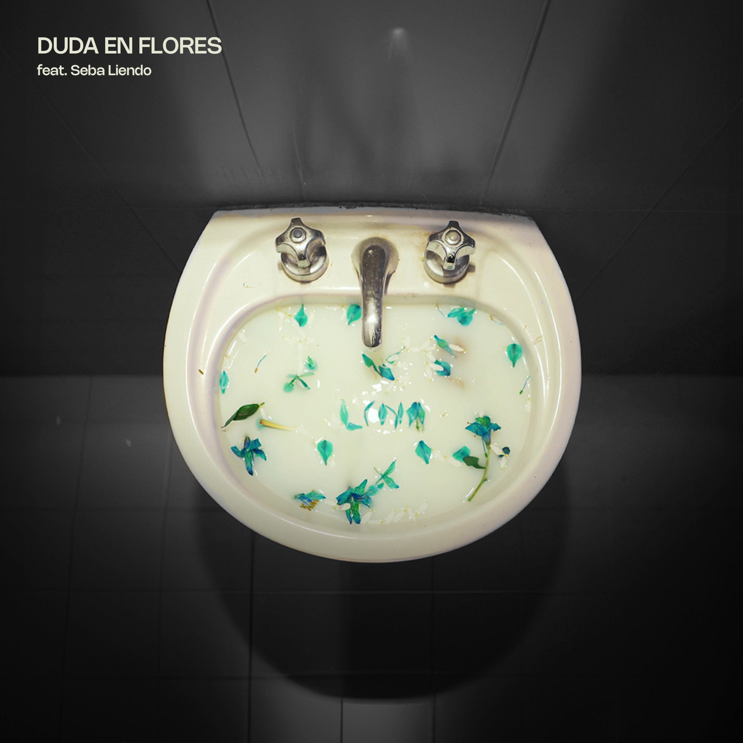 Duda en Flores (feat. Seba Liendo) - Single