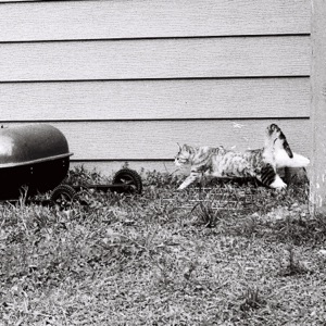 Message For You - EP