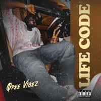 Life Code - Single - Qpee Vibez