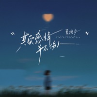 其实感情并不伤人 - Single - 夏婉安