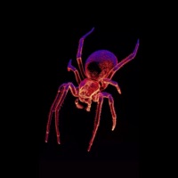 So Low (feat. LUUV.) - Single - ZAYNIX