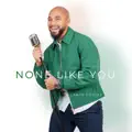 None Like You