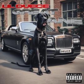 Great Dane Lil Deuce