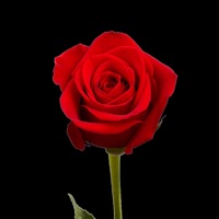 Call Declined (feat. Peanut) - Single - AToMo