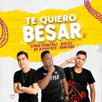 Te Quiero Besar (Remix) - Single - Simón Figueroa, RK Kammerer & Rafael Roncallo