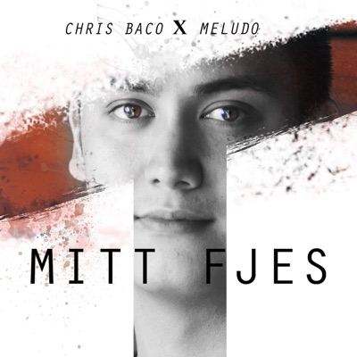 Mitt fjes - Single