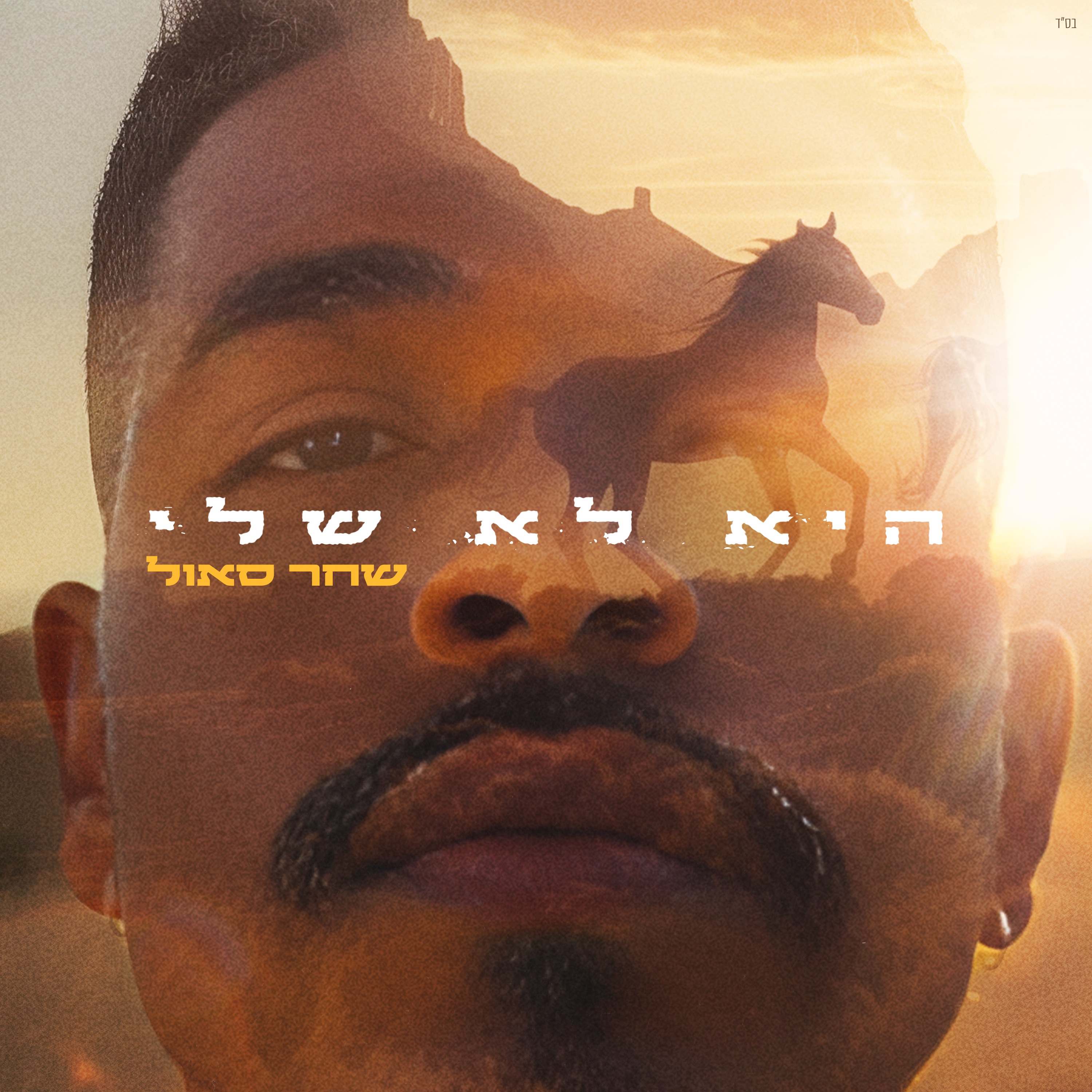 היא לא שלי - Single