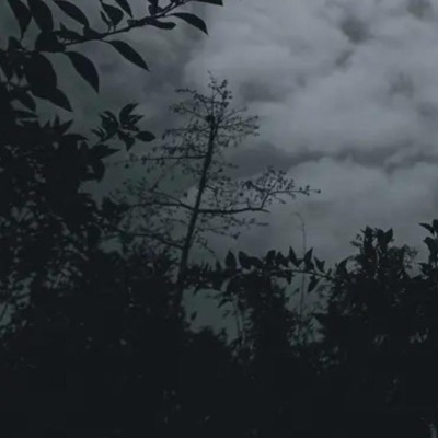 Control - Single