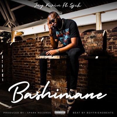 Bashimane (feat. Sjeh) - Single