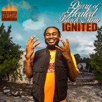 Diary of a Healed Black Man: Ignited - artí