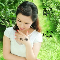 醉心 (广场舞合辑) - Single - 田娥