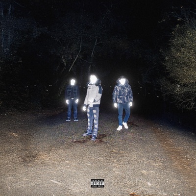 FLASHING LIGHTS - Single