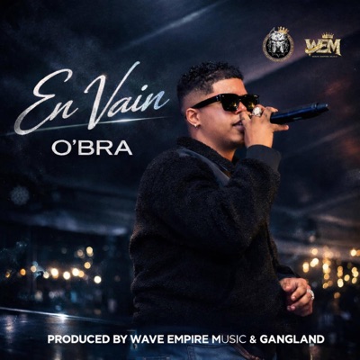 En Vain (feat. Gangland88 & Wave Empire Music) - Single