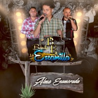 Alma Enamorada - Single - Banda Los Escamilla La Consentida De Jerez