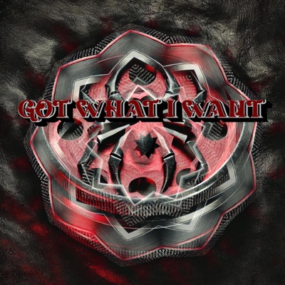 Got what i want - Single