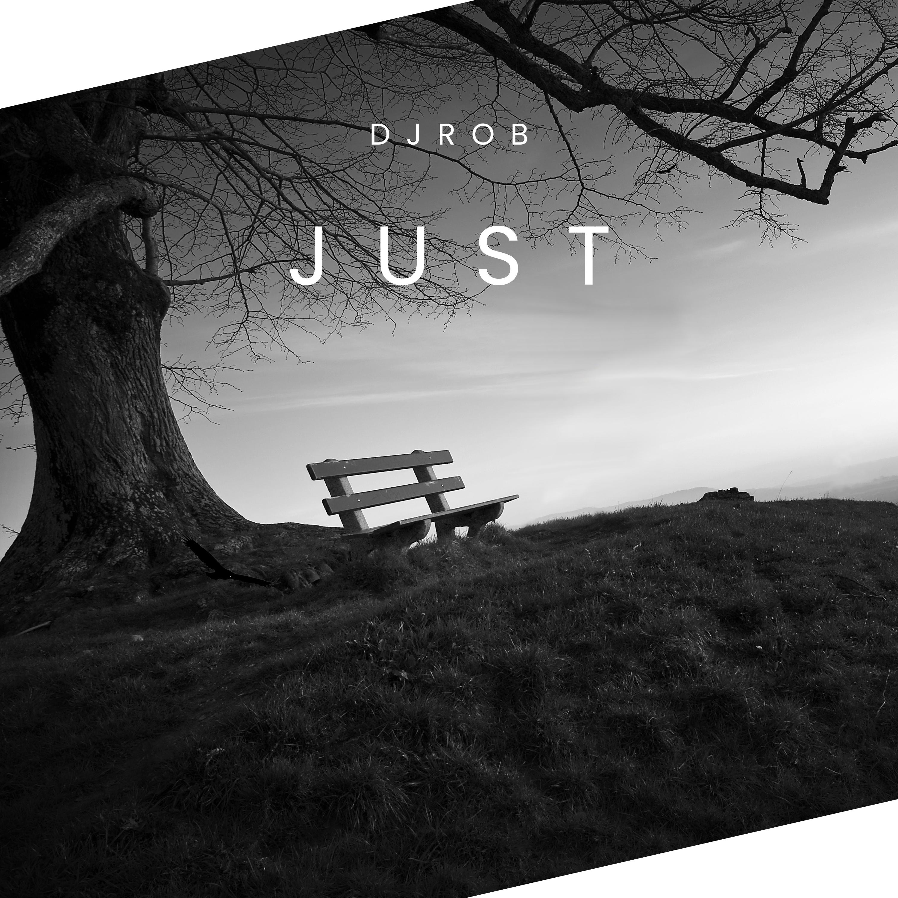 DJ Rob x Suno - Just Believe Me