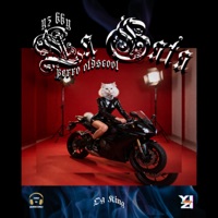 La Gata - Single - YIZI BABY