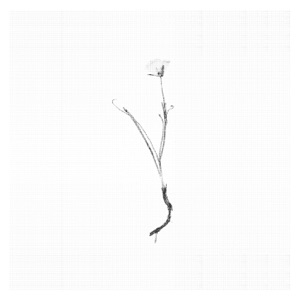 Consolation No. 2 in A-Flat Major