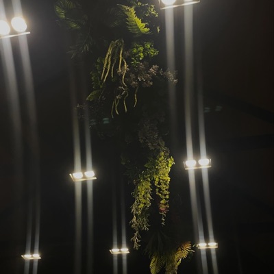 champagne coast bridgerton