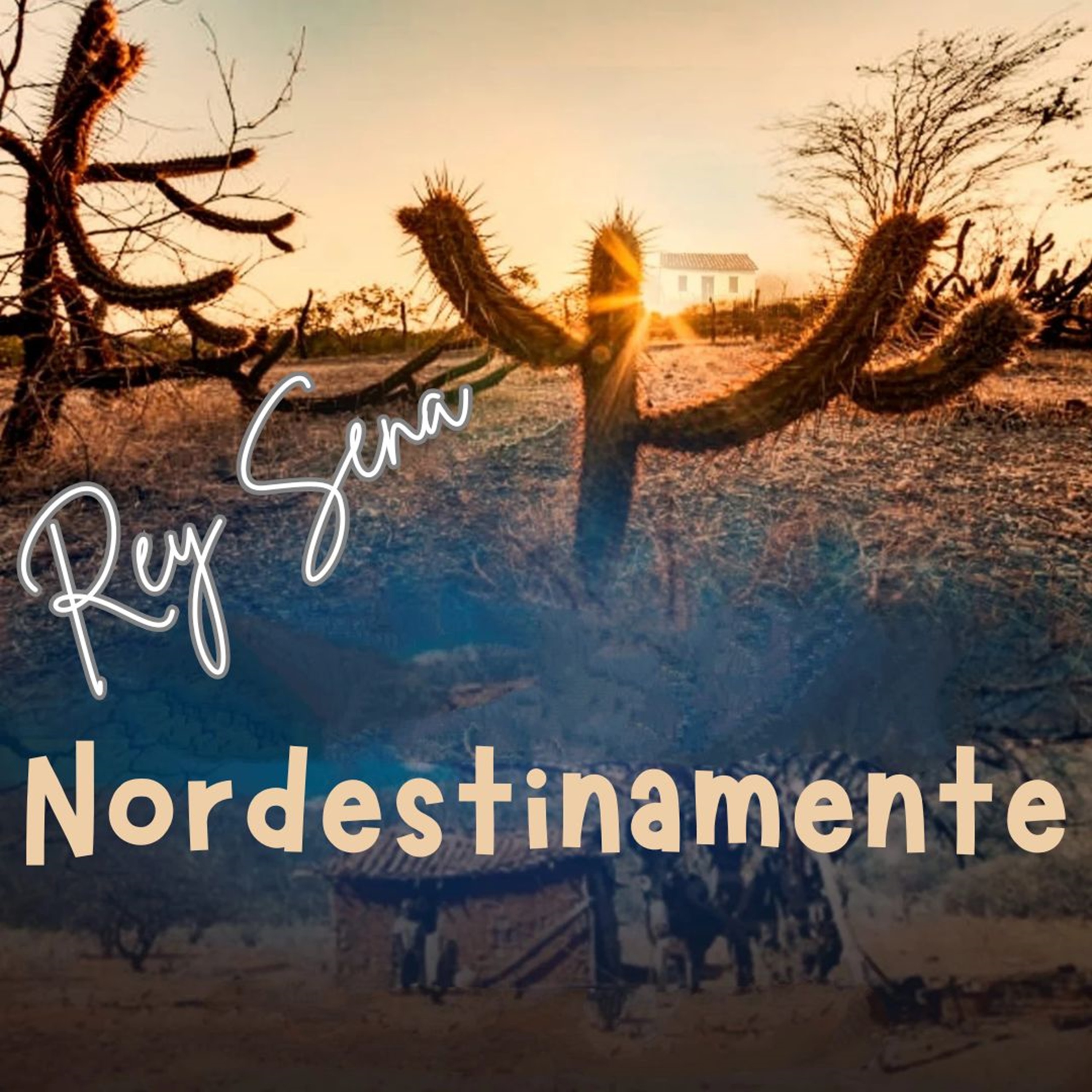 Nordestinamente
