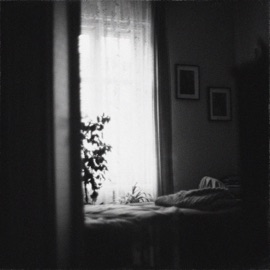 Koori Leafs The Floating Whale & lost but found