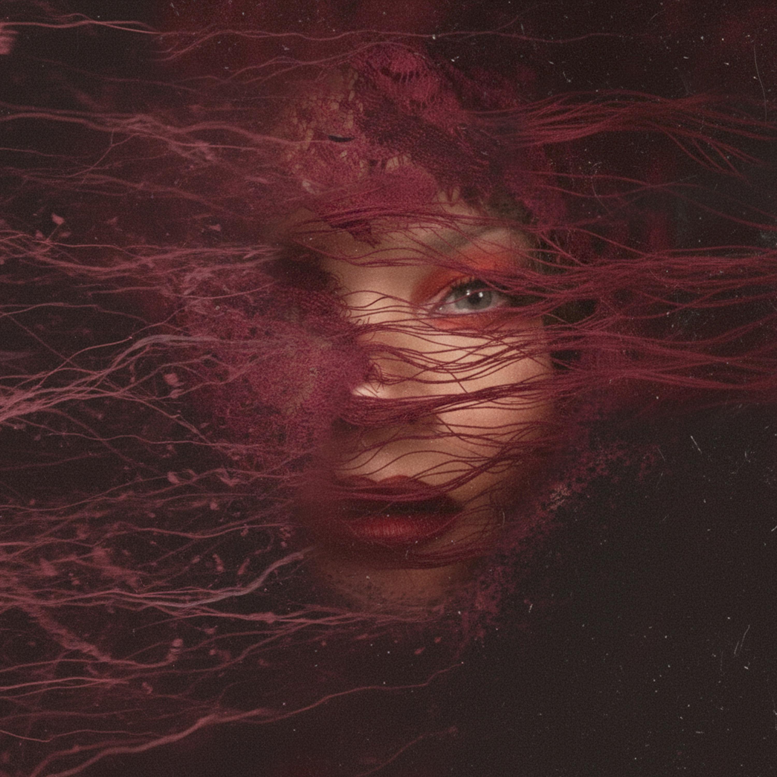 Fell Into A Dream - Single