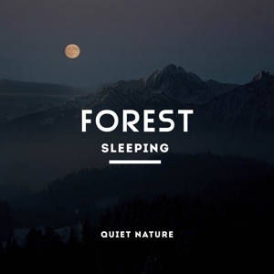 Forest Sleeping