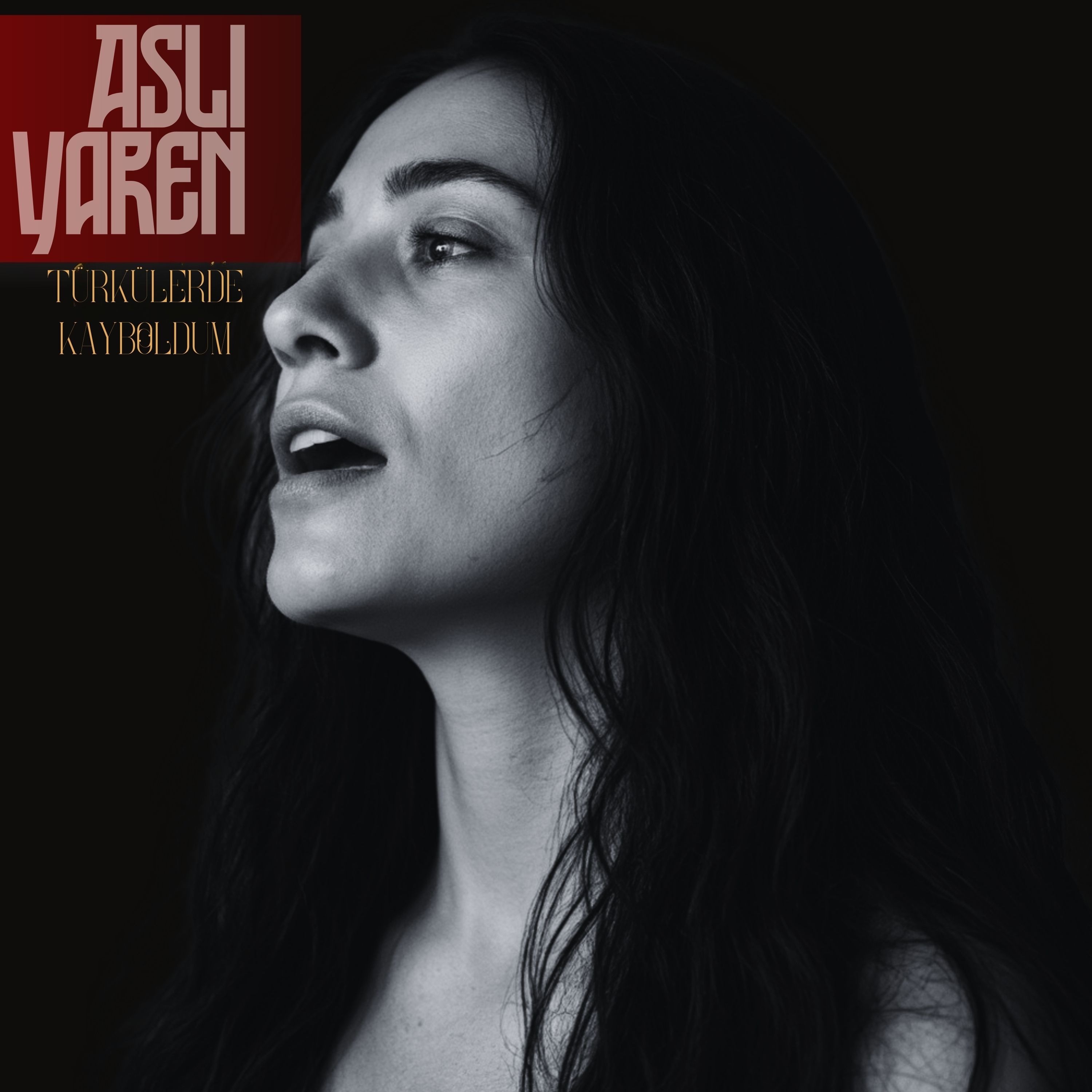 Türkülerde Kayboldum - EP