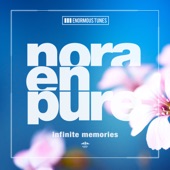 Infinte Memories (Extended Mix) artwork