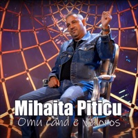 Omu cand e valoros - Single - Mihaita Piticu