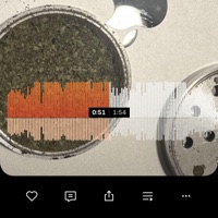 I Am a Liar - Single - syn