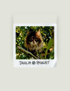 DAHLIAを聴いたり、ミュージックビデオを鑑賞したり、経歴やツアー日程などを確認したりしましょう！