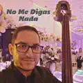 No me digas nada