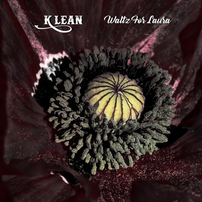 Waltz For Laura - Single