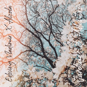 Jardines De Adentro (feat. B Mark)