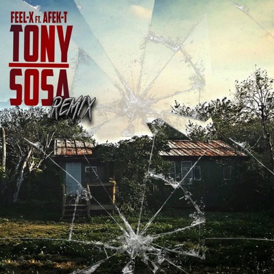 Tony Sosa (feat. Afek-T) [Remix] - Single