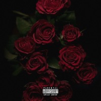 Rose Petals - CASH Of Hearts