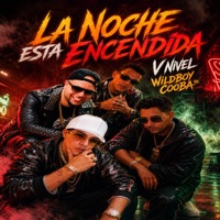 La Noche Esta Encendida (feat. Wildboy Cooba) - Single - V nivel